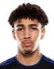 https://img.fz755.com/img/football/player/fb7fd3390bdc25307ce54843fe6472dd.png